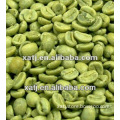 100% Pure Green Coffee Bean Extract